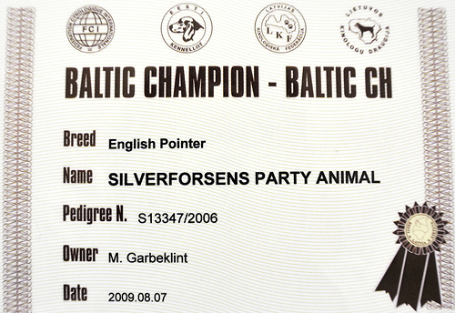 Party's baltiska championatdiplom - BALTUCH.