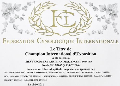 Party's internationella championat - CIE.