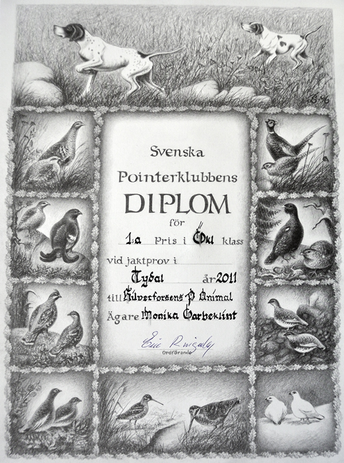 Svenska Pointerklubbens diplom till Party för 1 AK premien 2011.