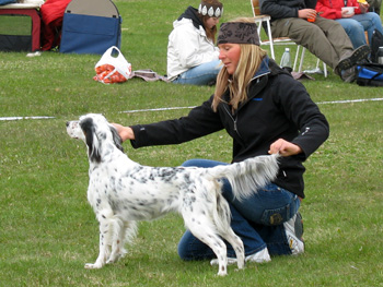 Specialhundklubbarnas utställnig i Östersund 2007